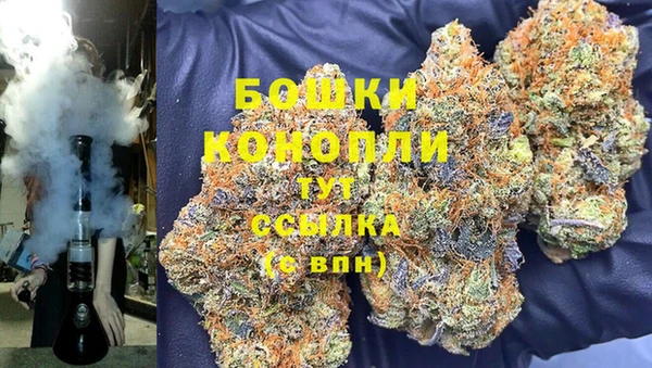 дмт Аркадак