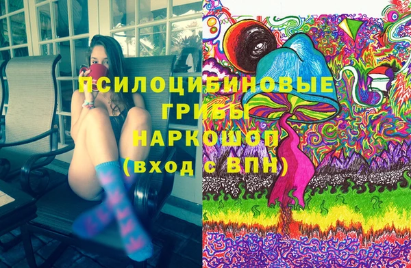 дмт Аркадак