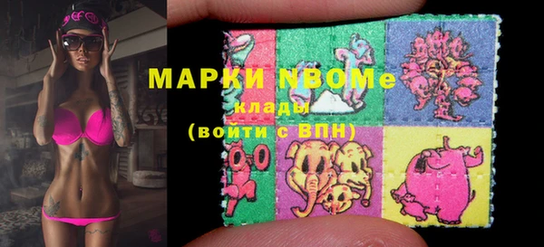 прущая мука Арсеньев