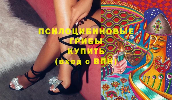 прущая мука Арсеньев