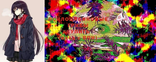 прущая мука Арсеньев